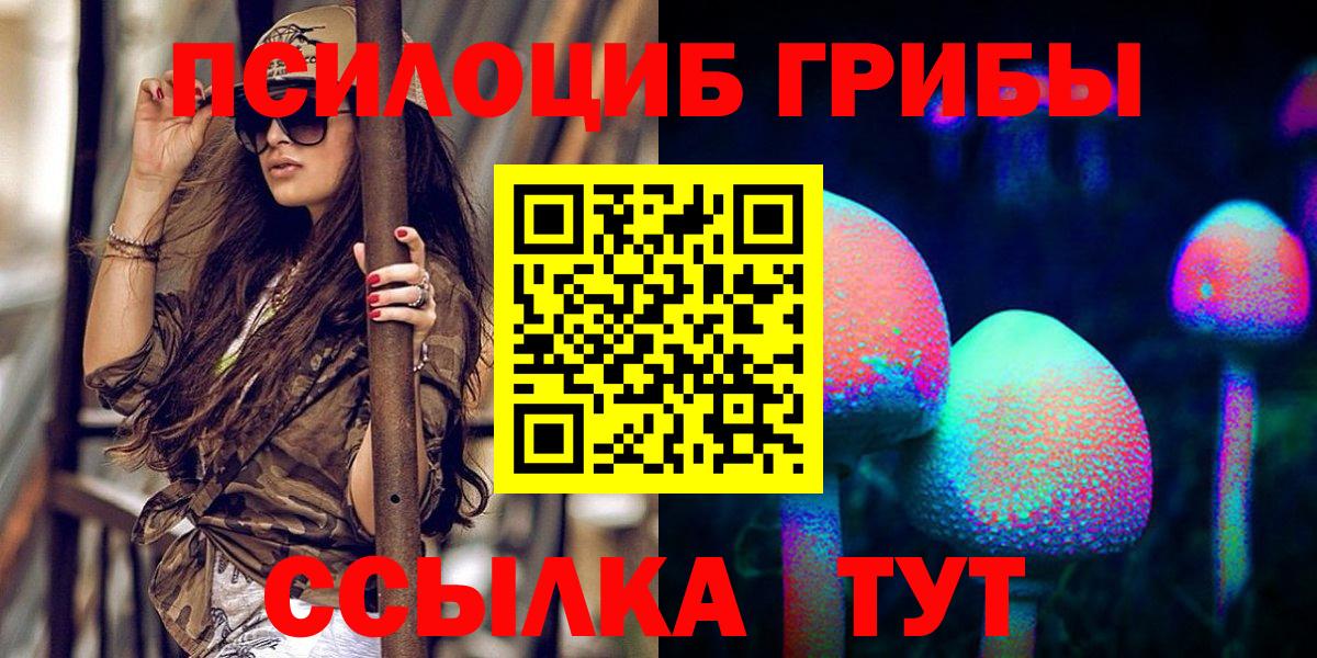 Псилоцибиновые грибы GOLDEN TEACHER Краснознаменск