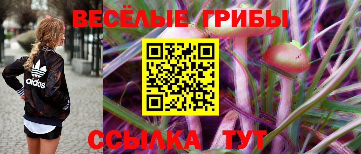 Галлюциногенные грибы мухоморы  Псилоцибиновые грибы Psilocybe  Краснознаменск  Вход с VPN 